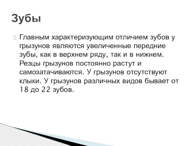 Главным характеризующим отличием зубов у грызунов являются увеличенные передние зубы, как в