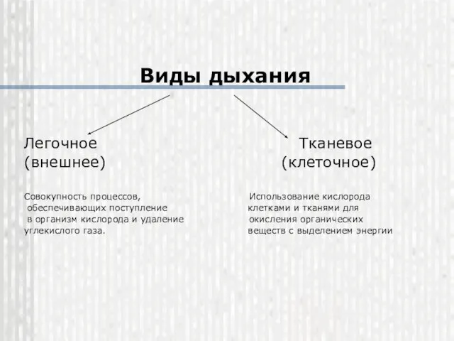 Виды дыхания Легочное Тканевое (внешнее) (клеточное) Совокупность процессов, Использование кислорода обеспечивающих поступление