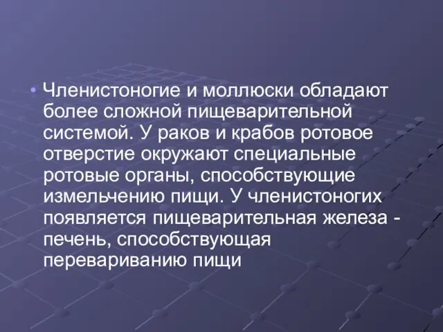 Членистоногие и моллюски обладают более сложной пищеварительной системой. У раков и крабов