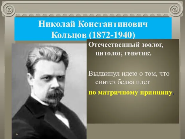 Николай Константинович Кольцов (1872-1940) Отечественный зоолог, цитолог, генетик. Выдвинул идею о том,