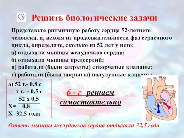 Представьте ритмичную работу сердца 52-летнего человека, и, исходя из продолжительности фаз сердечного