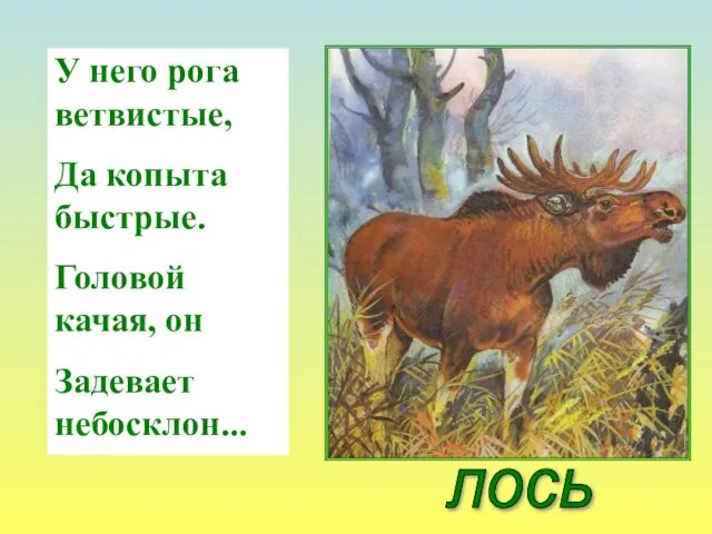 У него рога ветвистые, Да копыта быстрые. Головой качая, он Задевает небосклон... лось