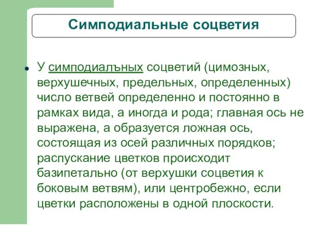 Симподиальные соцветия У симподиалъных соцветий (цимозных, верхушечных, предельных, определенных) число ветвей определенно