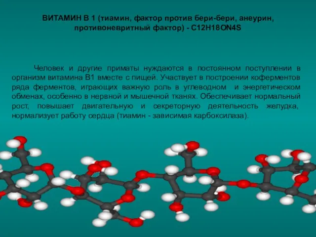 Человек и другие приматы нуждаются в постоянном поступлении в организм витамина В1