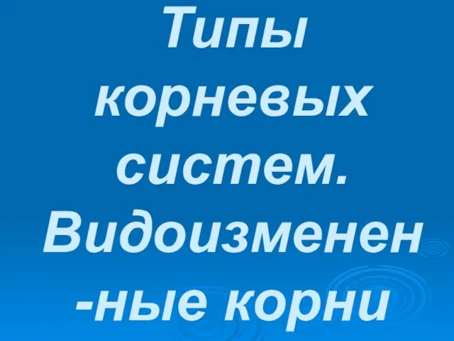 Типы корневых систем. Видоизменен-ные корни