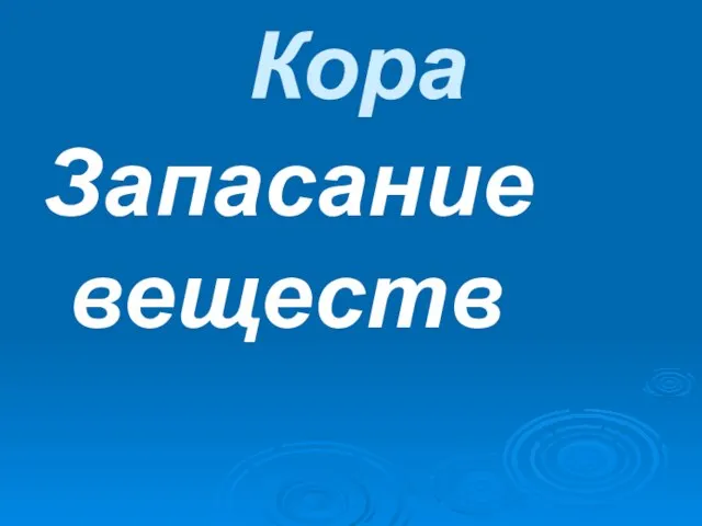 Кора Запасание веществ