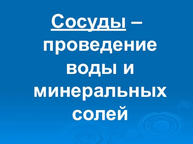 Сосуды – проведение воды и минеральных солей