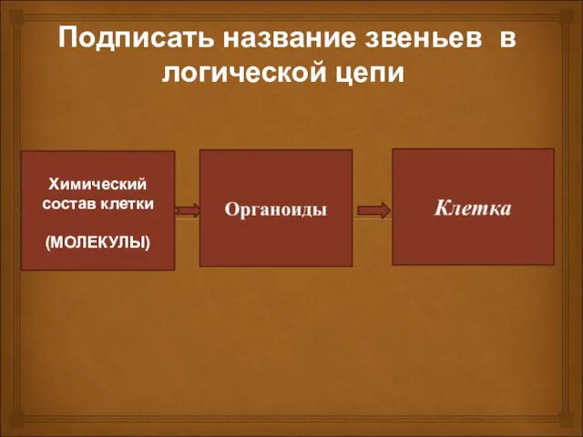 Подписать название звеньев в логической цепи Химический состав клетки (МОЛЕКУЛЫ) 2 3