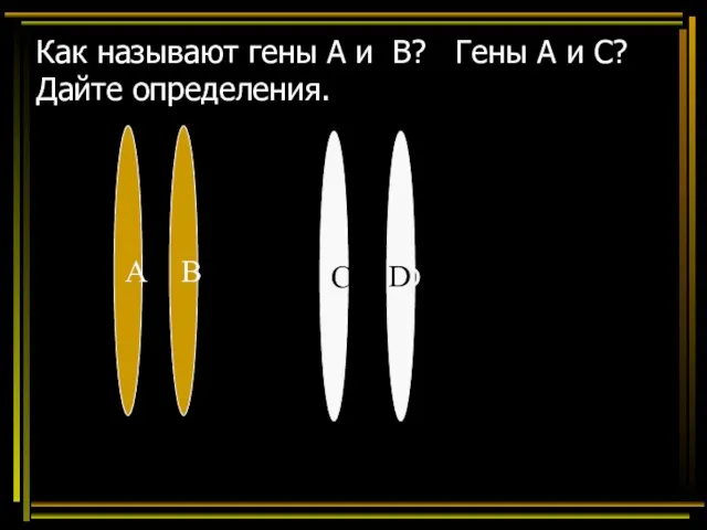 Как называют гены А и В? Гены А и С? Дайте определения.