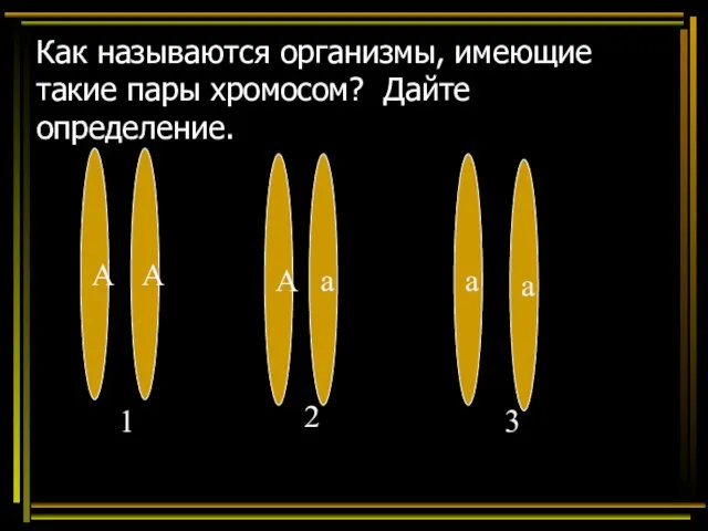 Как называются организмы, имеющие такие пары хромосом? Дайте определение. А А А