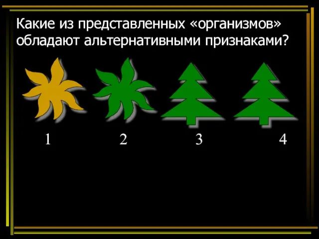 Какие из представленных «организмов» обладают альтернативными признаками? 1 2 3 4