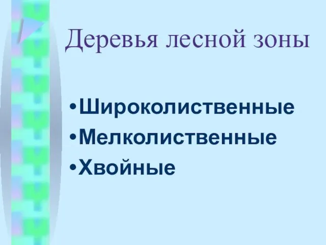 Деревья лесной зоны Широколиственные Мелколиственные Хвойные