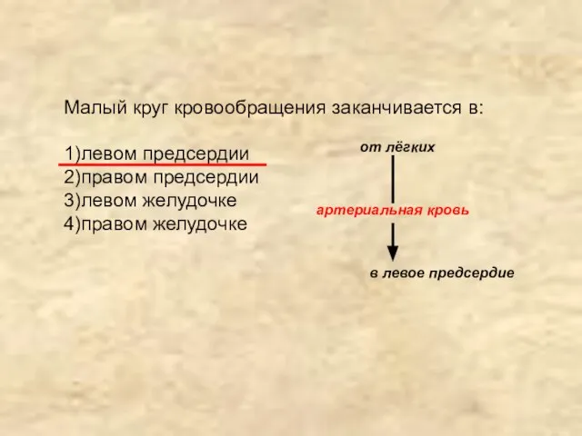 Малый круг кровообращения заканчивается в: 1)левом предсердии 2)правом предсердии 3)левом желудочке 4)правом