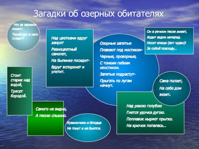 Загадки об озерных обитателях Что за зеркало лежит: Тихий лес в него