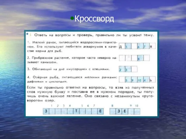 Кроссворд