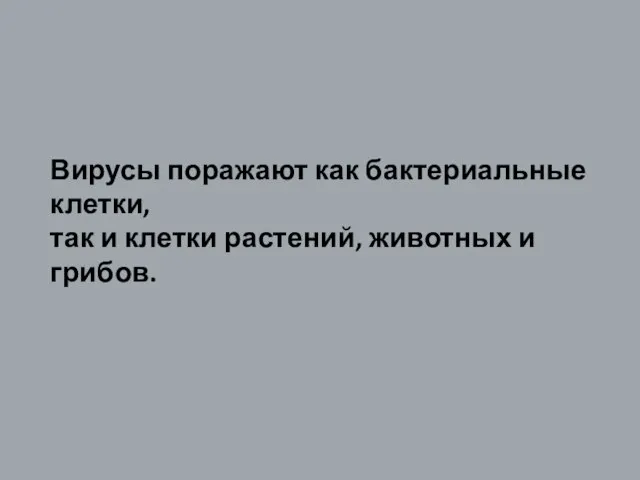 Вирусы поражают как бактериальные клетки, так и клетки растений, животных и грибов.