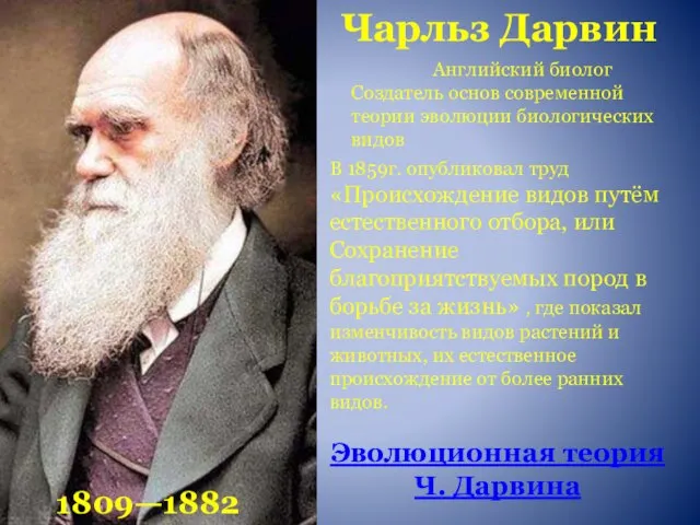 Чарльз Дарвин 1809—1882 Английский биолог Создатель основ современной теории эволюции биологических видов