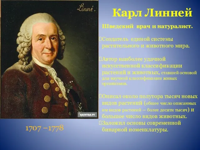 Карл Линней 1707 –1778 Шведский врач и натуралист. Создатель единой системы растительного