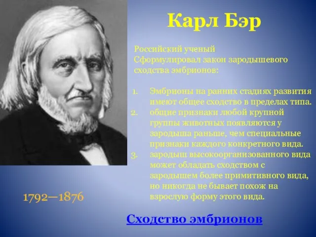 Карл Бэр 1792—1876 Российский ученый Сформулировал закон зародышевого сходства эмбрионов: Эмбрионы на