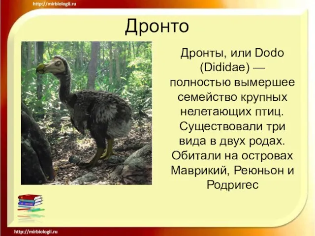 Дронто Дронты, или Dodo (Dididae) — полностью вымершее семейство крупных нелетающих птиц.