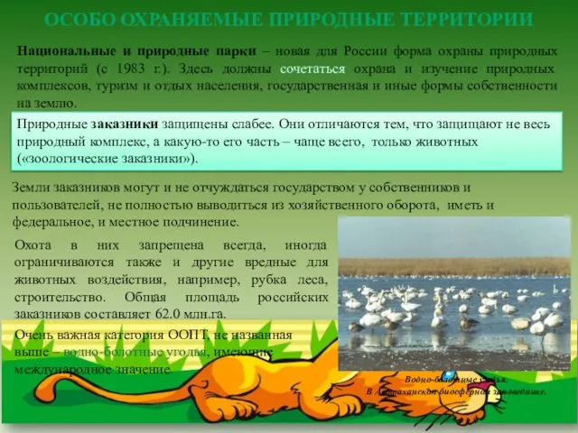 Национальные и природные парки – новая для России форма охраны природных территорий