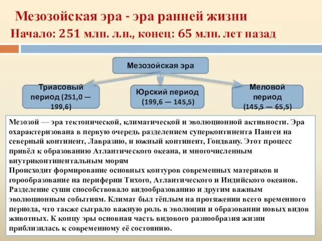 Мезозойская эра - эра ранней жизни Начало: 251 млн. л.н., конец: 65