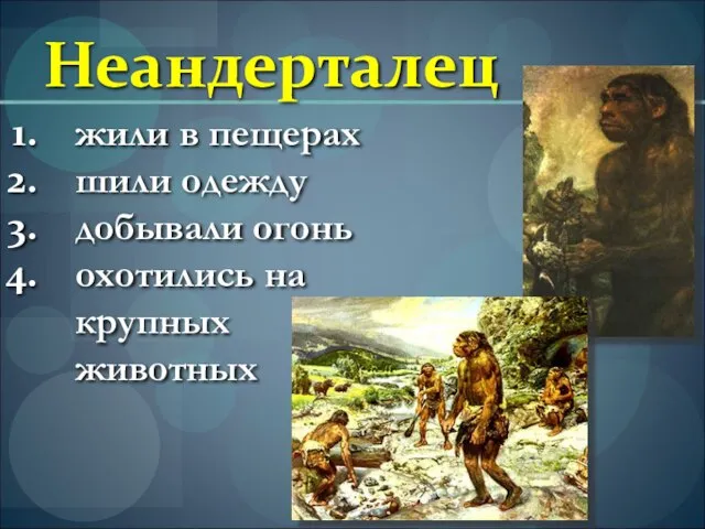 Неандерталец жили в пещерах шили одежду добывали огонь охотились на крупных животных