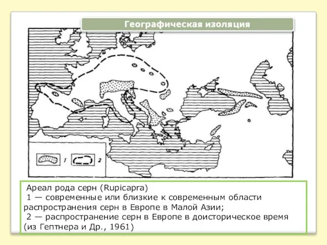 Ареал рода серн (Rupicapra) 1 — современные или близкие к современным области