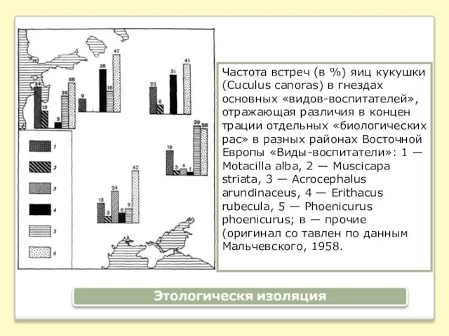 Частота встреч (в %) яиц кукушки (Cuculus canoras) в гнездах основных «видов-воспитателей»,