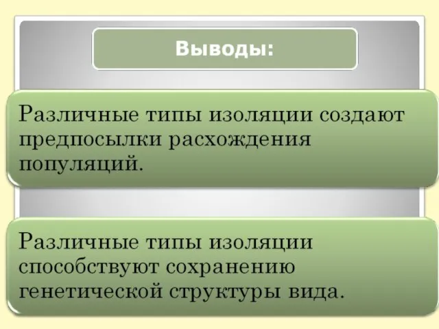 Вывод: