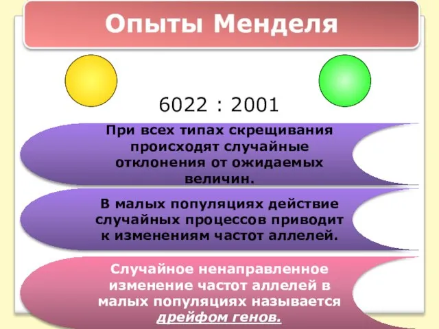 6022 : 2001 При всех типах скрещивания происходят случайные отклонения от ожидаемых