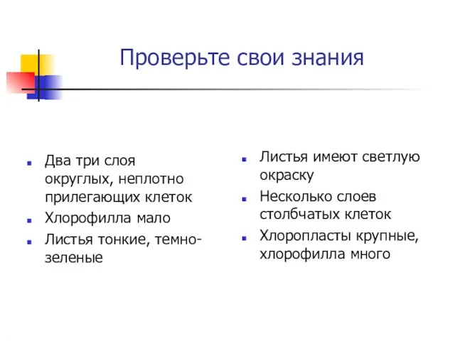 Проверьте свои знания Два три слоя округлых, неплотно прилегающих клеток Хлорофилла мало