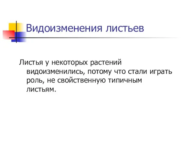 Видоизменения листьев Листья у некоторых растений видоизменились, потому что стали играть роль, не свойственную типичным листьям.