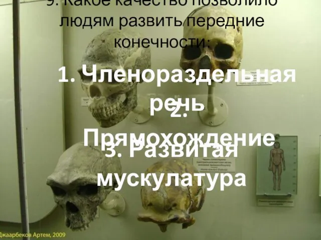 9. Какое качество позволило людям развить передние конечности: 1. Членораздельная речь 2. Прямохождение 3. Развитая мускулатура