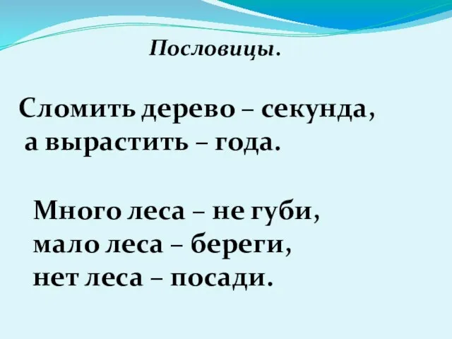 Пословицы. Сломить дерево – секунда, а вырастить – года. Много леса –