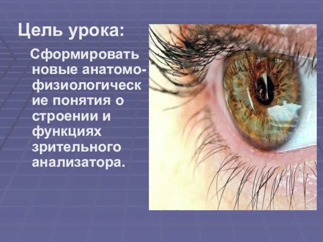 Цель урока: Сформировать новые анатомо-физиологические понятия о строении и функциях зрительного анализатора.