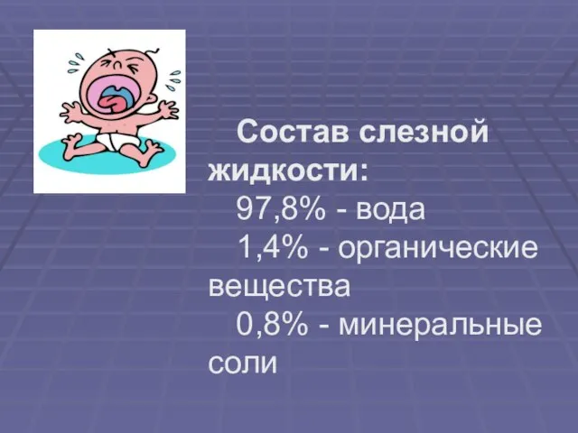 Состав слезной жидкости: 97,8% - вода 1,4% - органические вещества 0,8% - минеральные соли