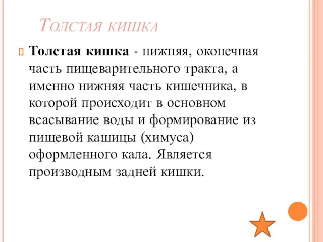 Толстая кишка Толстая кишка - нижняя, оконечная часть пищеварительного тракта, а именно