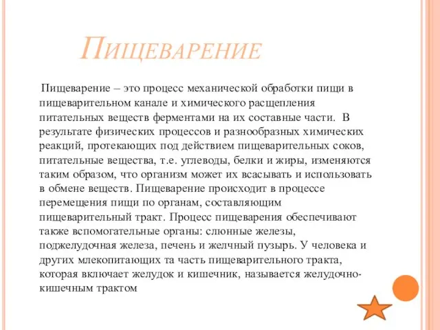 Пищеварение Пищеварение – это процесс механической обработки пищи в пищеварительном канале и