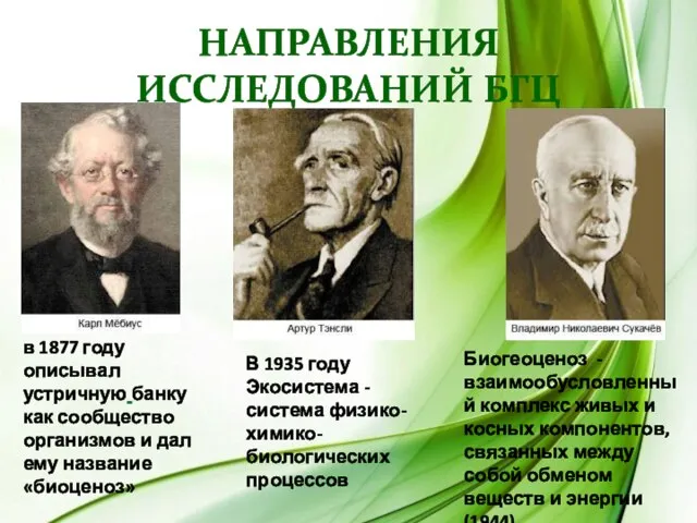 Направления исследований БГЦ в 1877 году описывал устричную банку как сообщество организмов