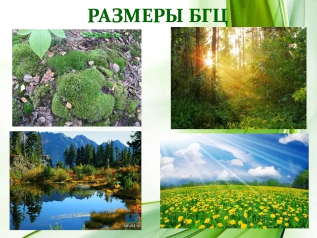 Размеры БГЦ