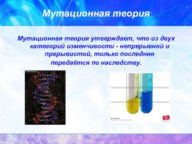 Мутационная теория Мутационная теория утверждает, что из двух категорий изменчивости - непрерывной