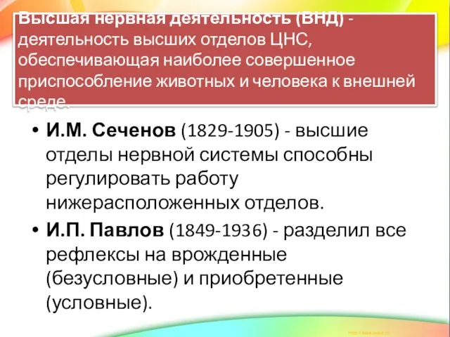 Высшая нервная деятельность (ВНД) - деятельность высших отделов ЦНС, обеспечивающая наиболее совершенное