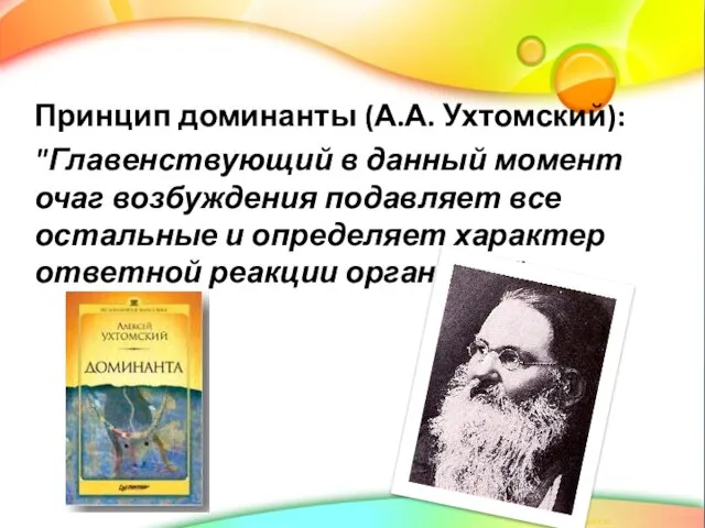 Принцип доминанты (А.А. Ухтомский): "Главенствующий в данный момент очаг возбуждения подавляет все