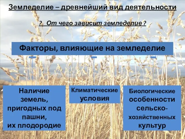 Земледелие – древнейший вид деятельности ? От чего зависит земледелие ? Факторы,