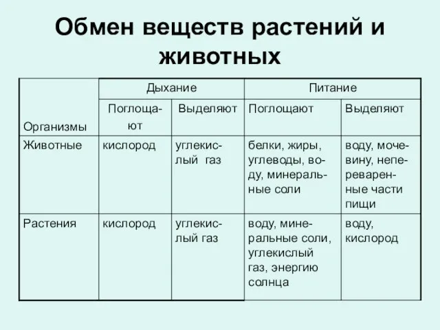 Обмен веществ растений и животных