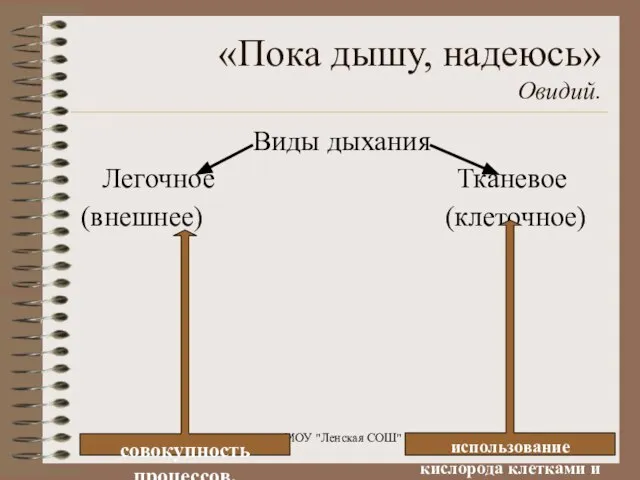 «Пока дышу, надеюсь» Овидий. Виды дыхания Легочное Тканевое (внешнее) (клеточное) МОУ "Ленская