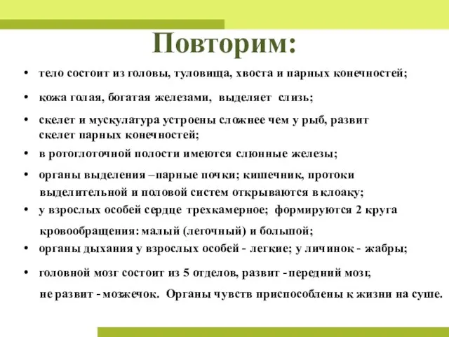 Повторим: тело состоит из головы, туловища, хвоста и парных конечностей; кожа голая,