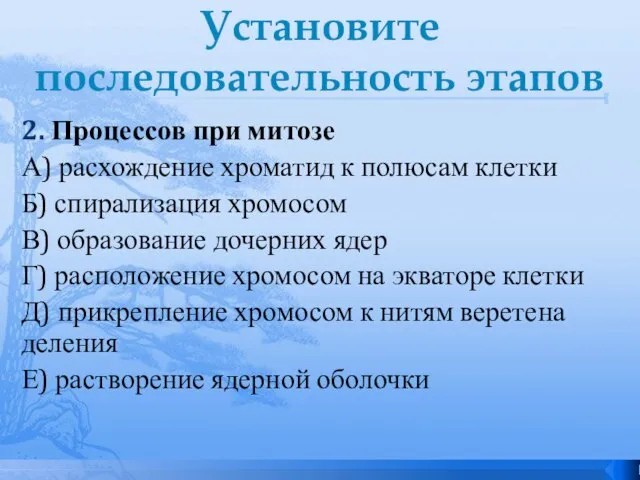 Установите последовательность этапов 2. Процессов при митозе А) расхождение хроматид к полюсам