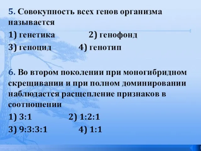 5. Совокупность всех генов организма называется 1) генетика 2) генофонд 3) геноцид